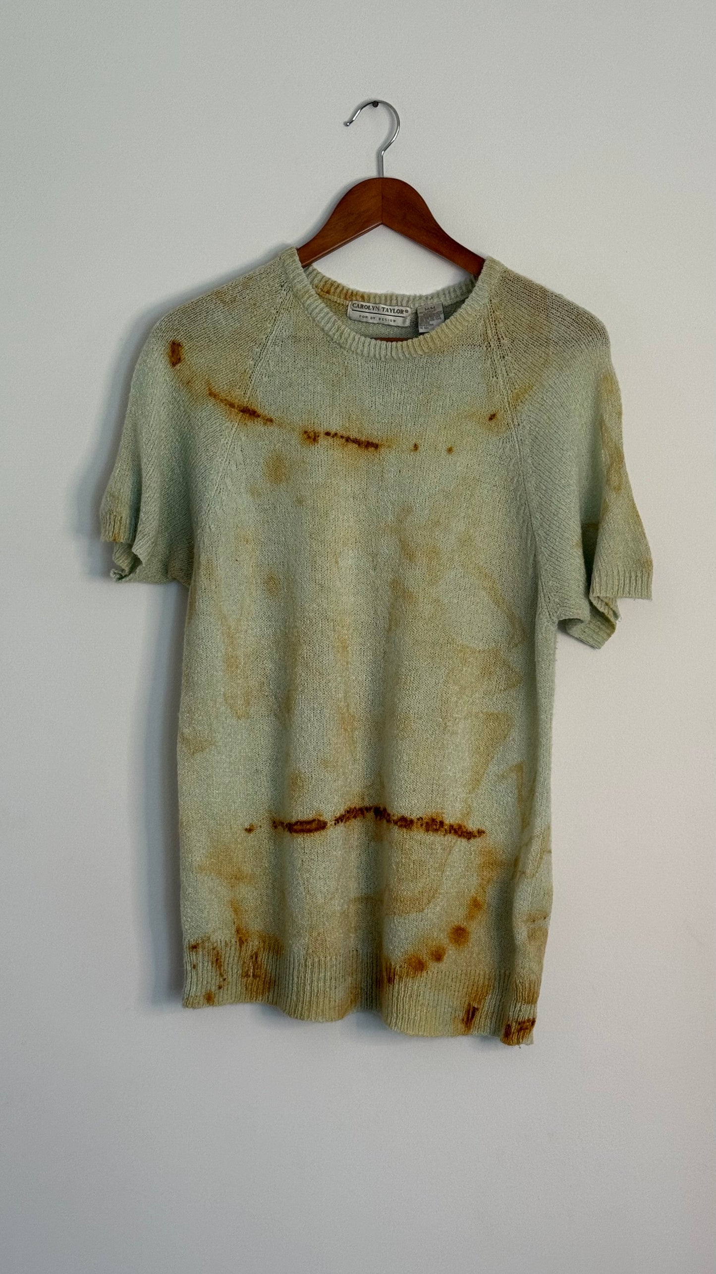 carolyn taylor sea foam green s/s sweater